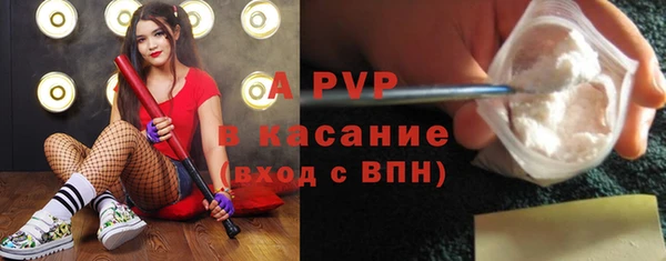 крисы Аркадак