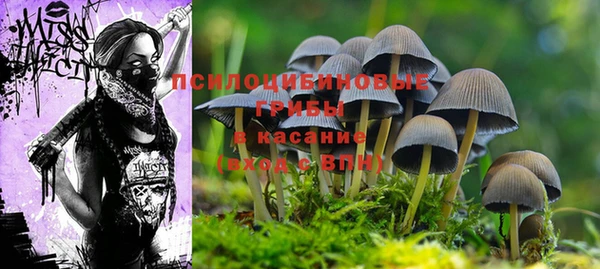 jwh Баксан