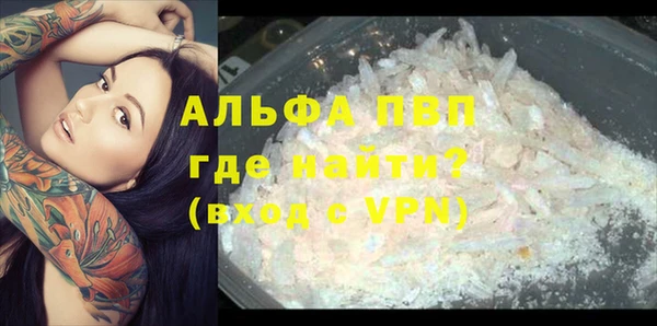 крисы Аркадак
